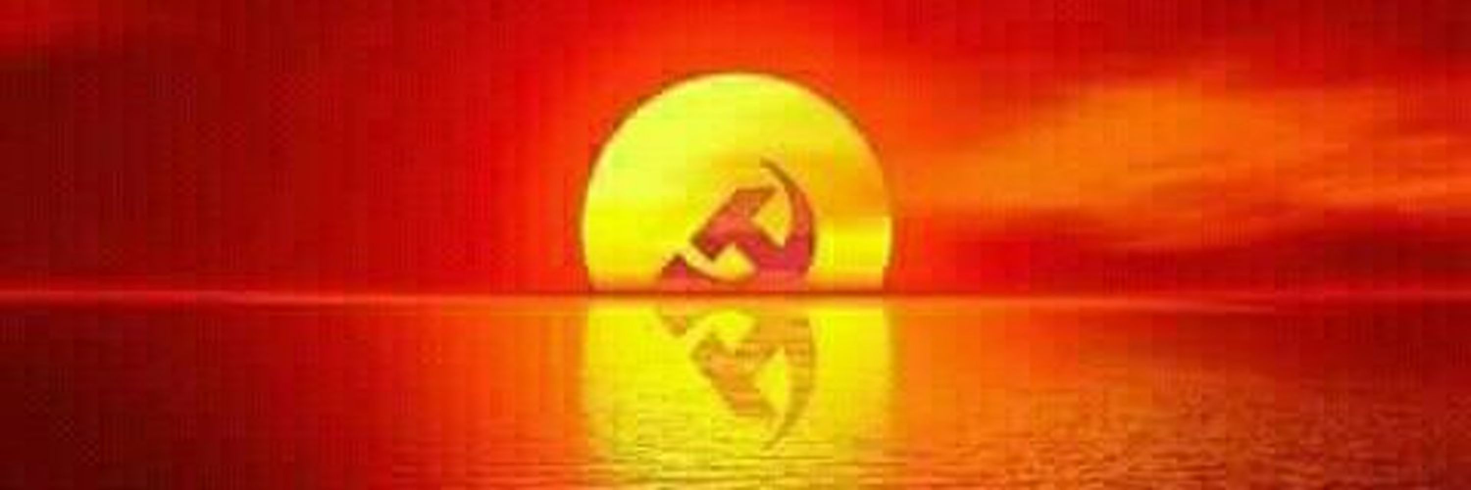 Pacifista Radical