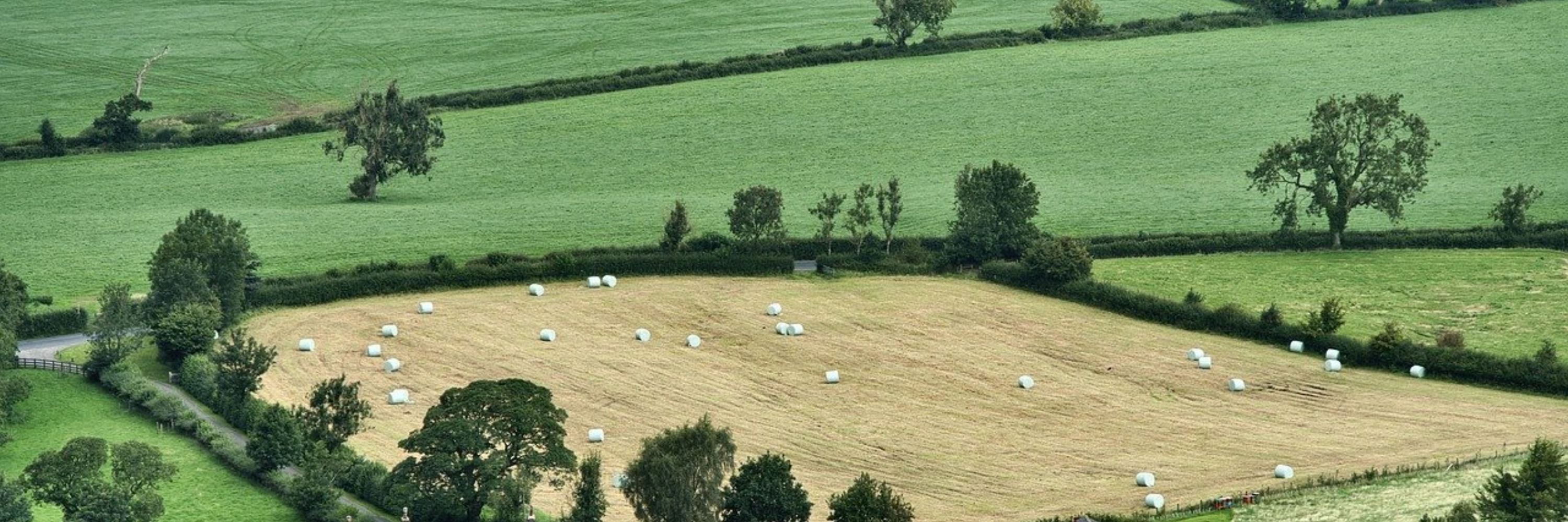 Rede de Agricultura Sustentável