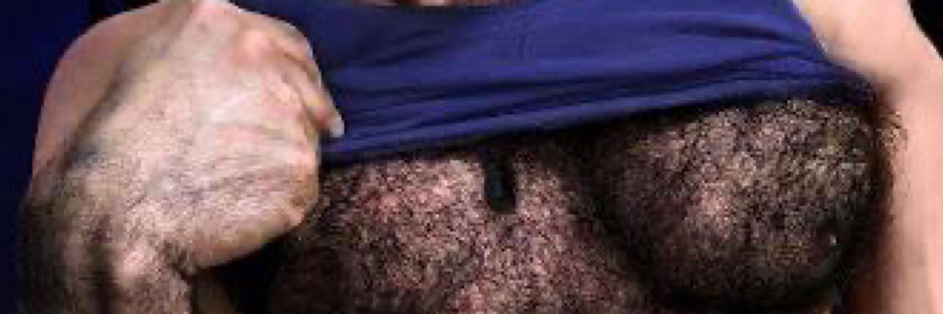 sinful stallions