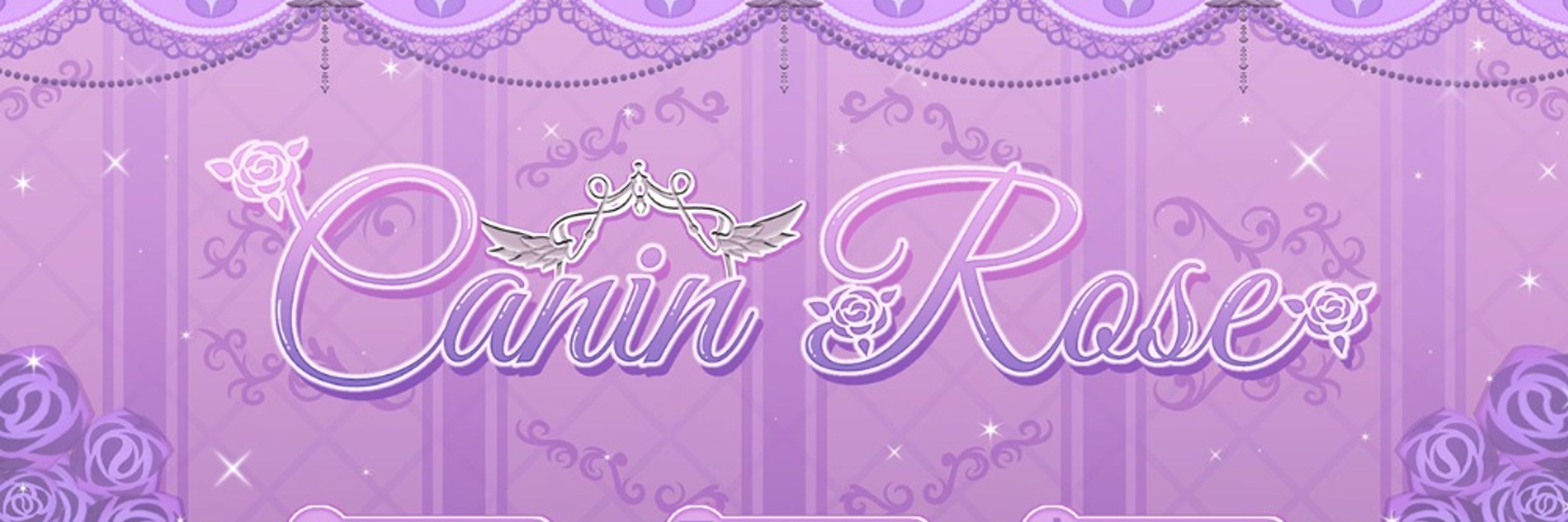 Profile banner