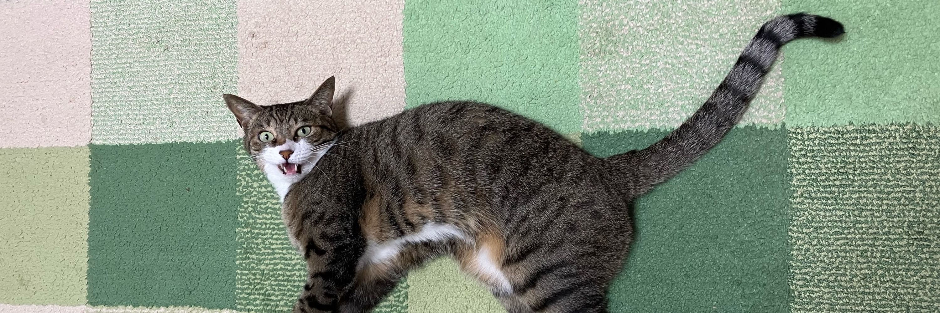 にこ