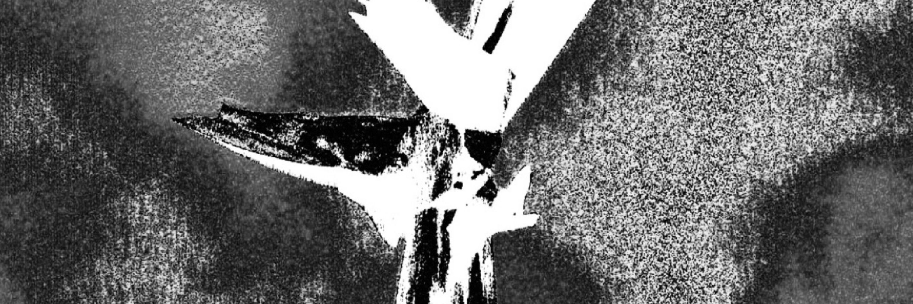 Sulk ii