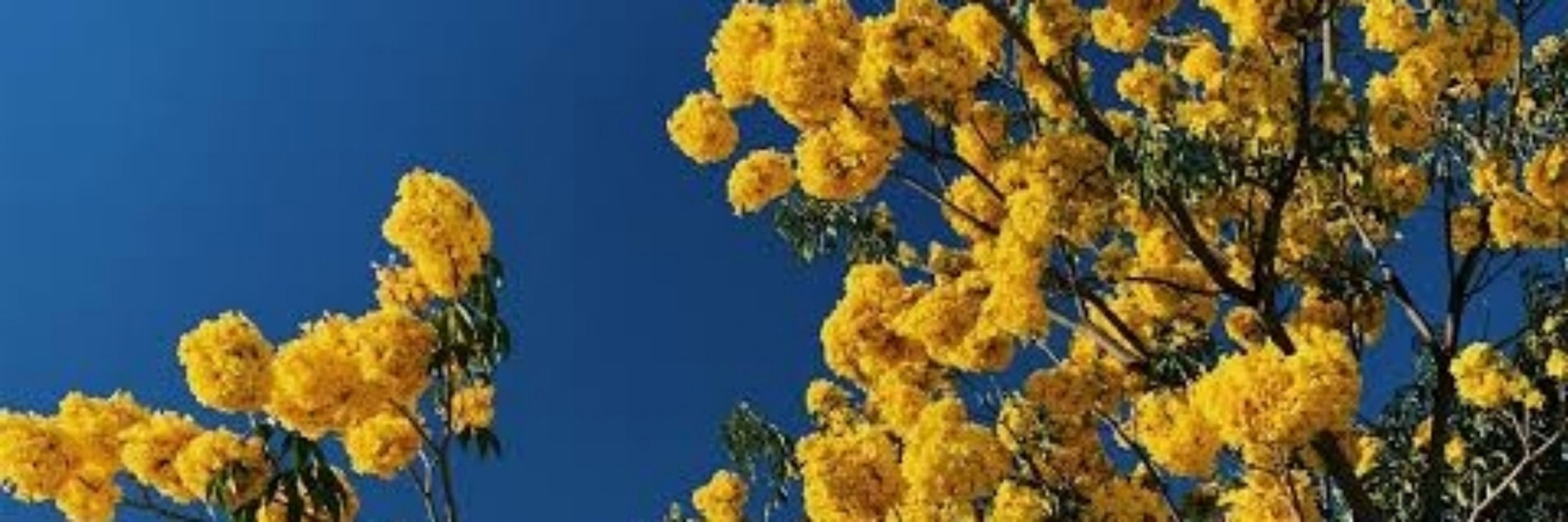 ☀️