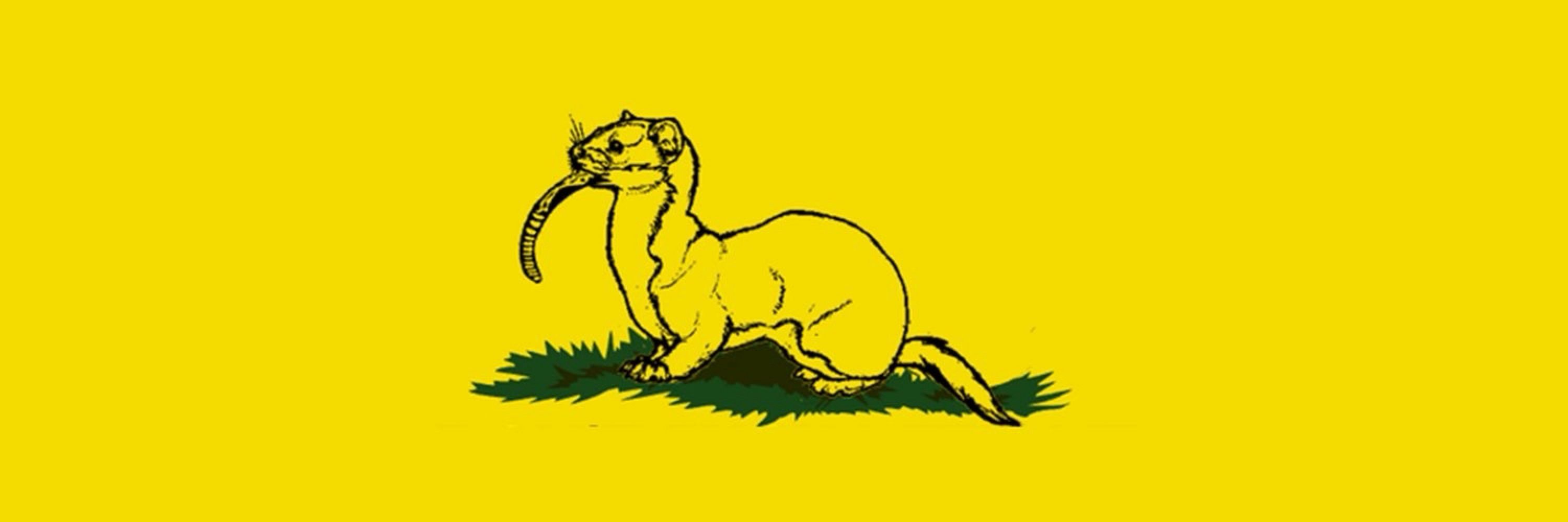 Phil from the forests of New England