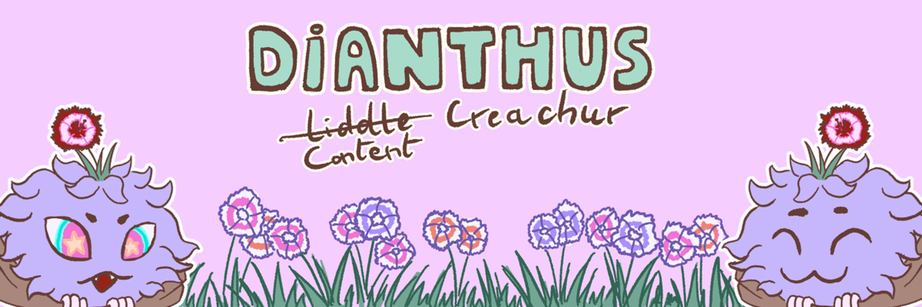 Dianthus