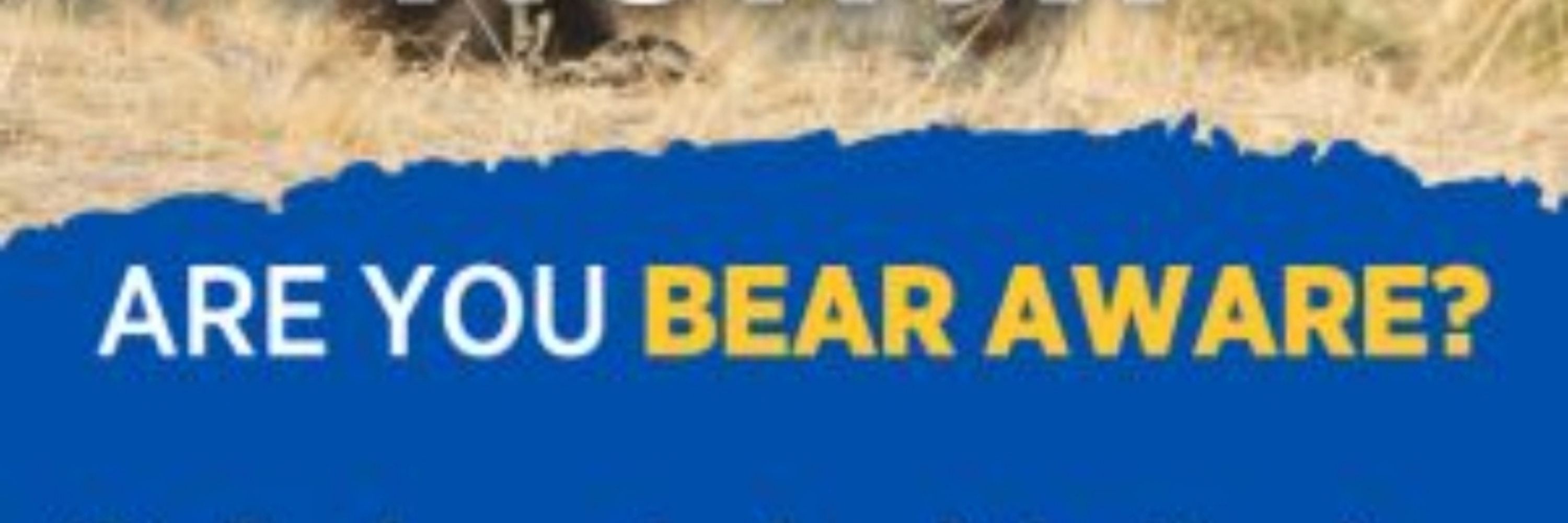 Bear After Dark
