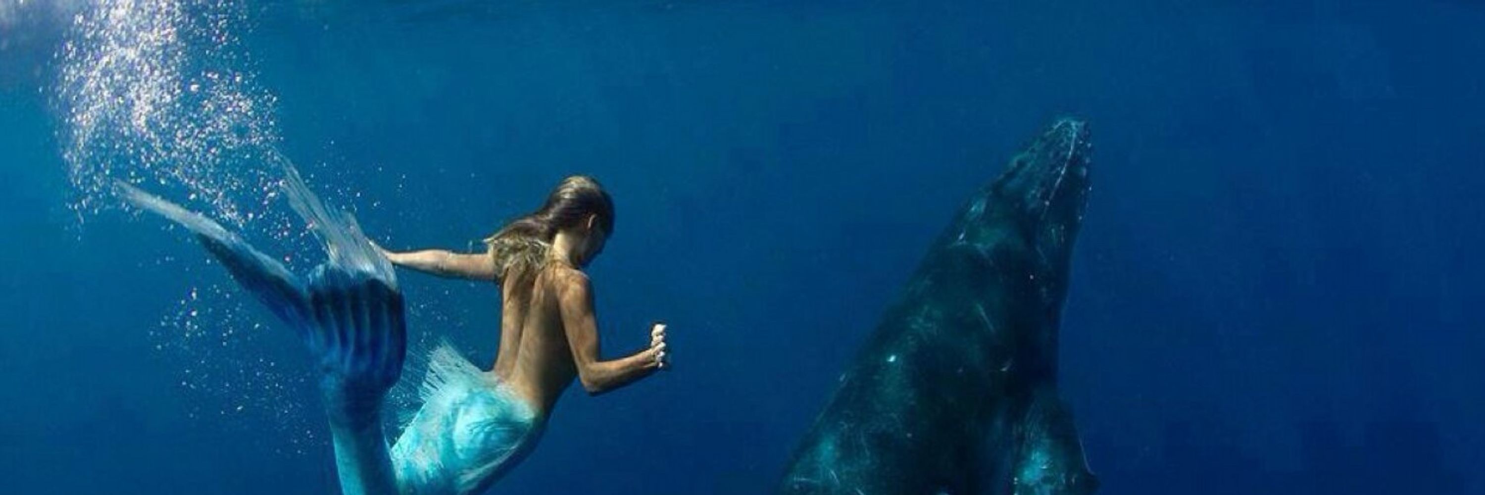 🦋🐬🐳🐋🌊🧜‍♀️🦜☮️🌊💙🥄🇺🇦🏳️‍🌈🇨🇦🦋💙🔥
