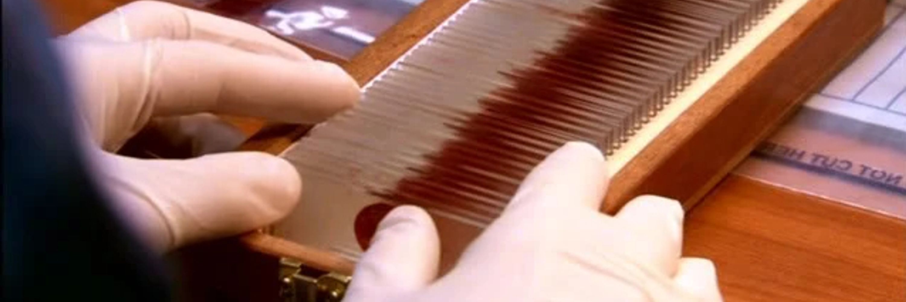 Dexter Morgan