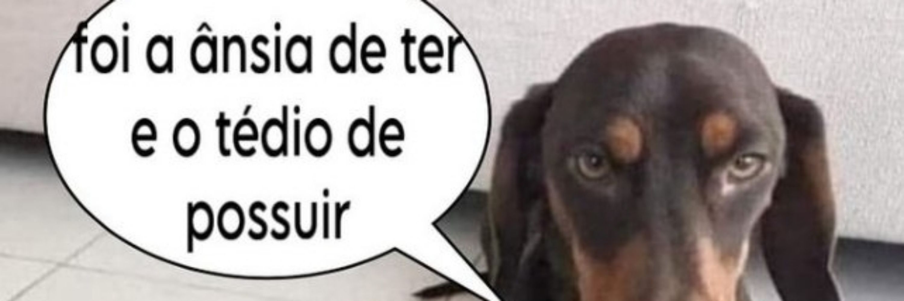 rafakjk