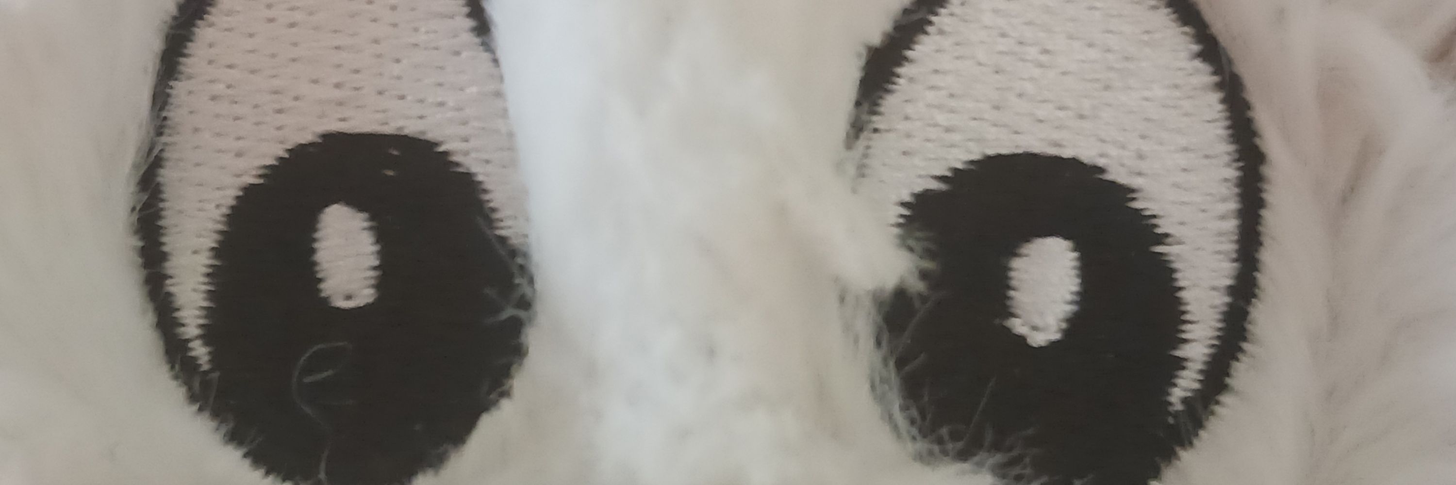 CATMEOW RADIO