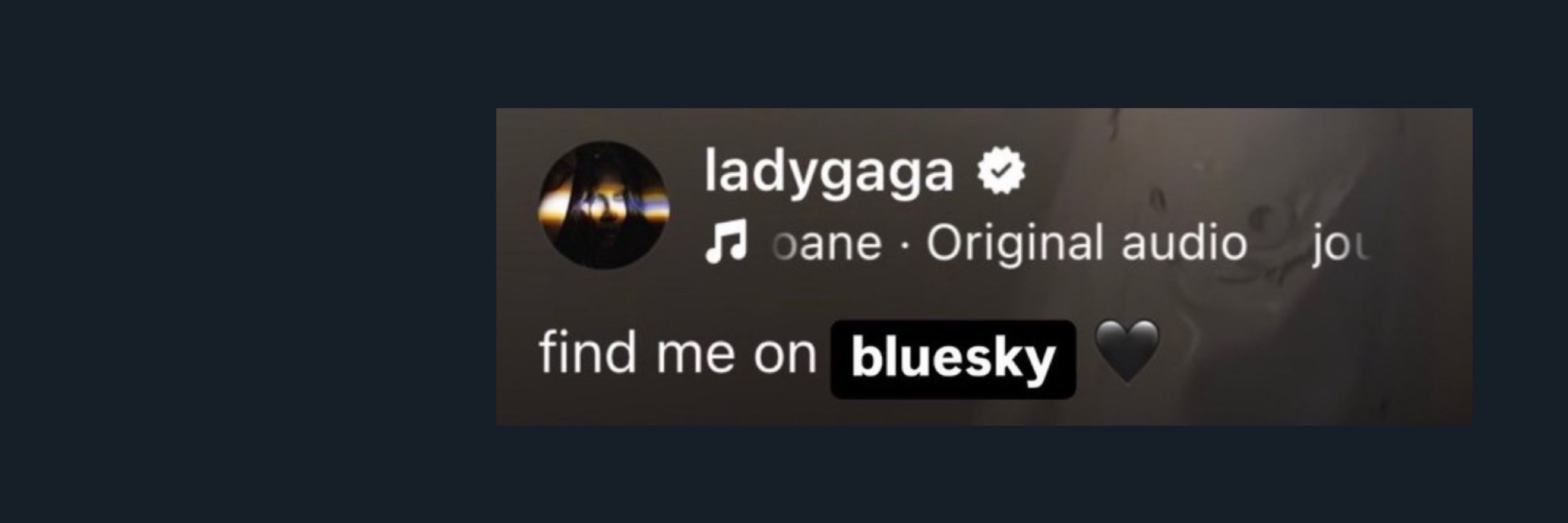 shugaboo