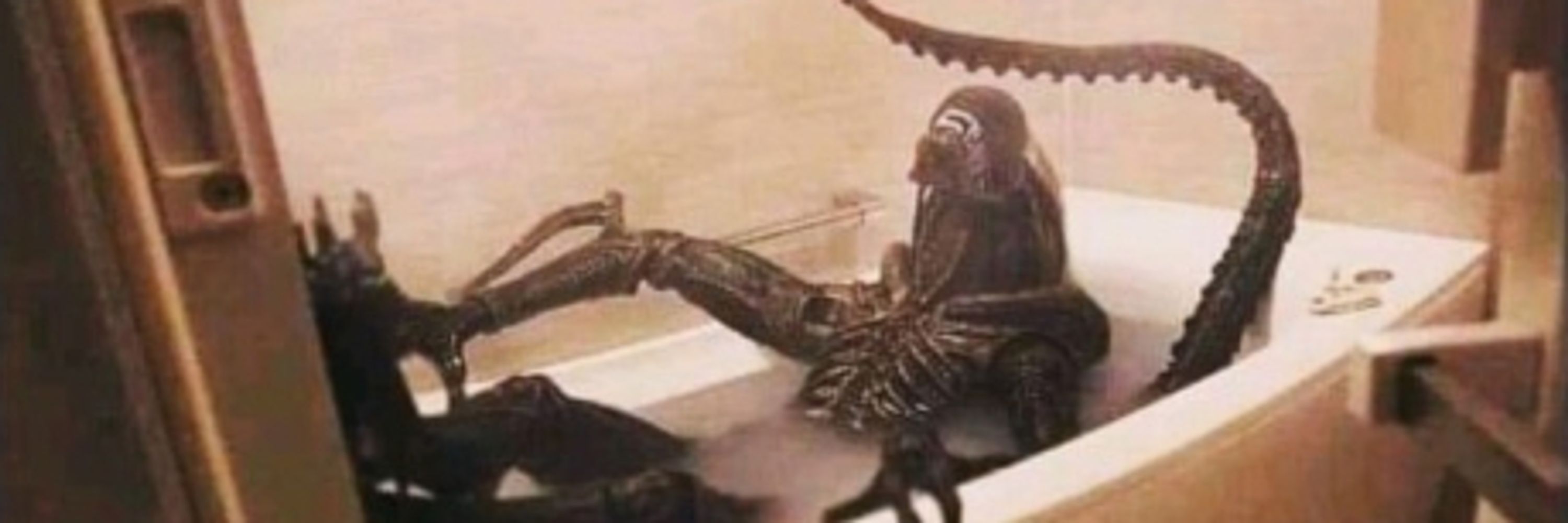 🔞 sucka fucka ding dong 
