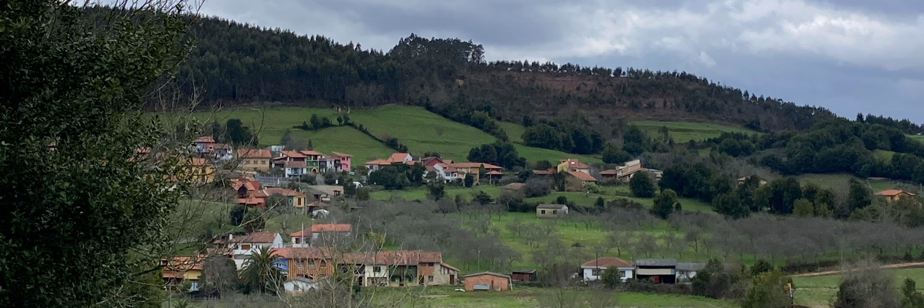 Álvaro Viñes