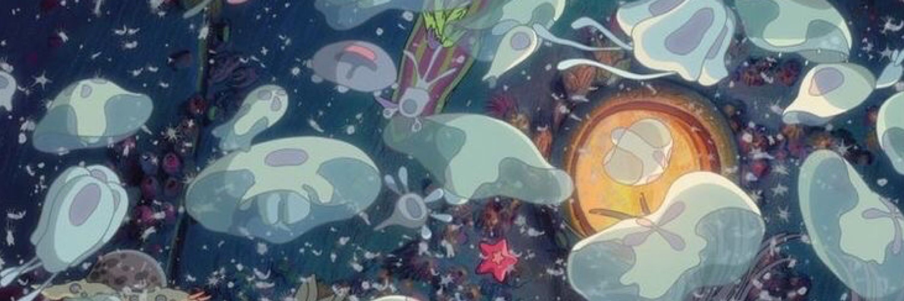 adsoocean