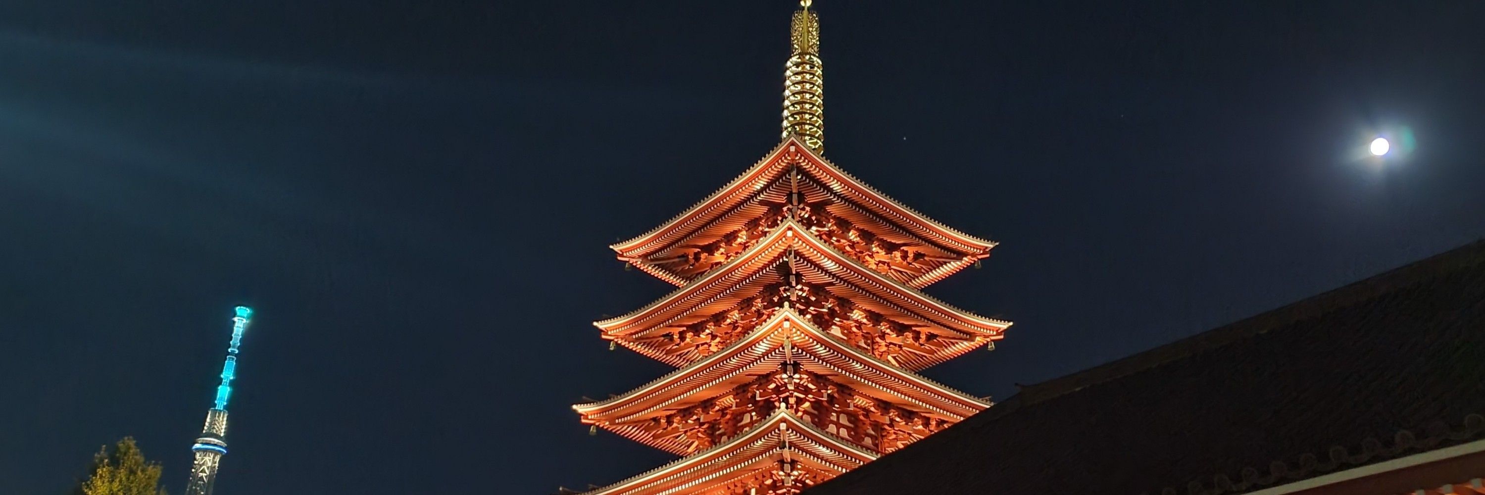 戚桜琳