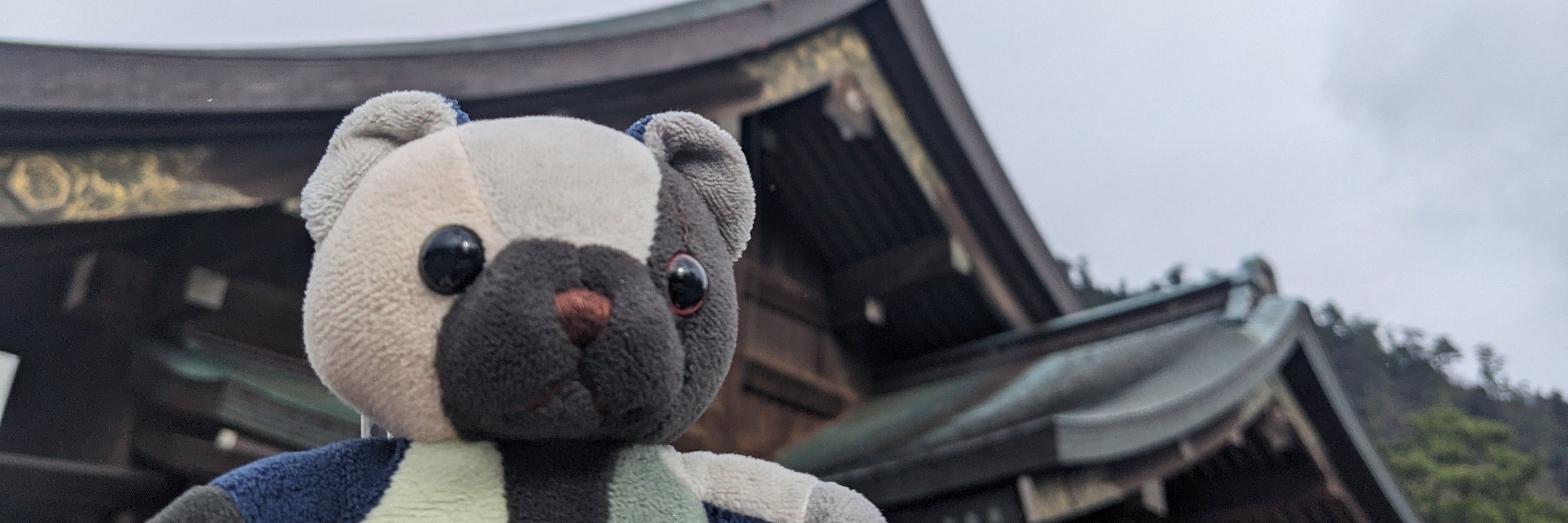 楓