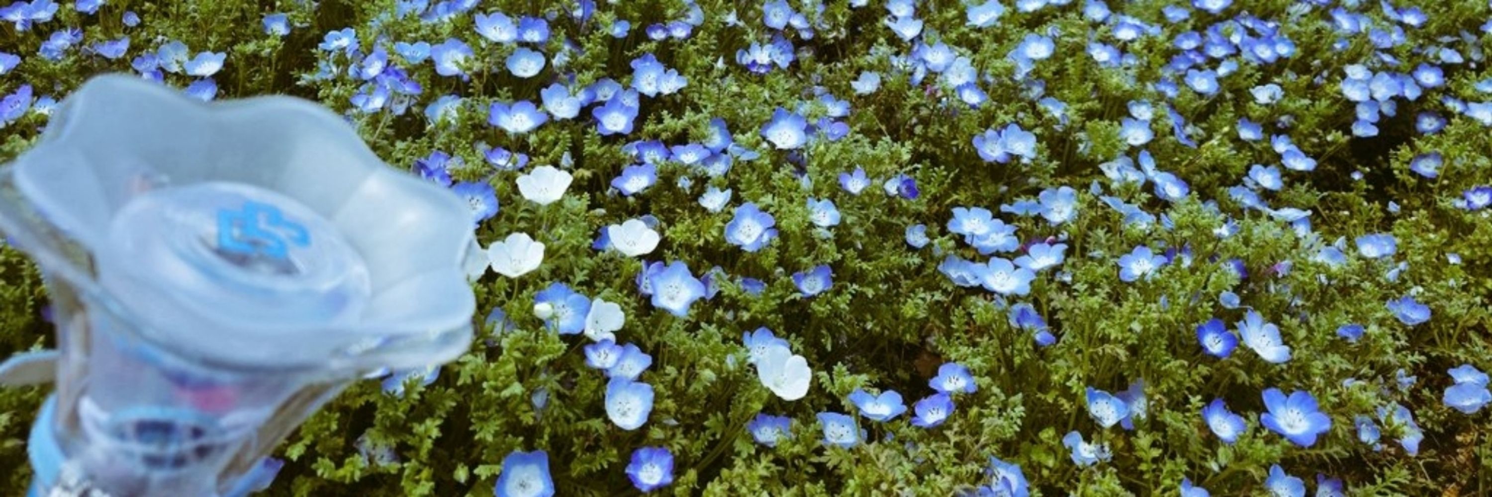 Sol 💙
