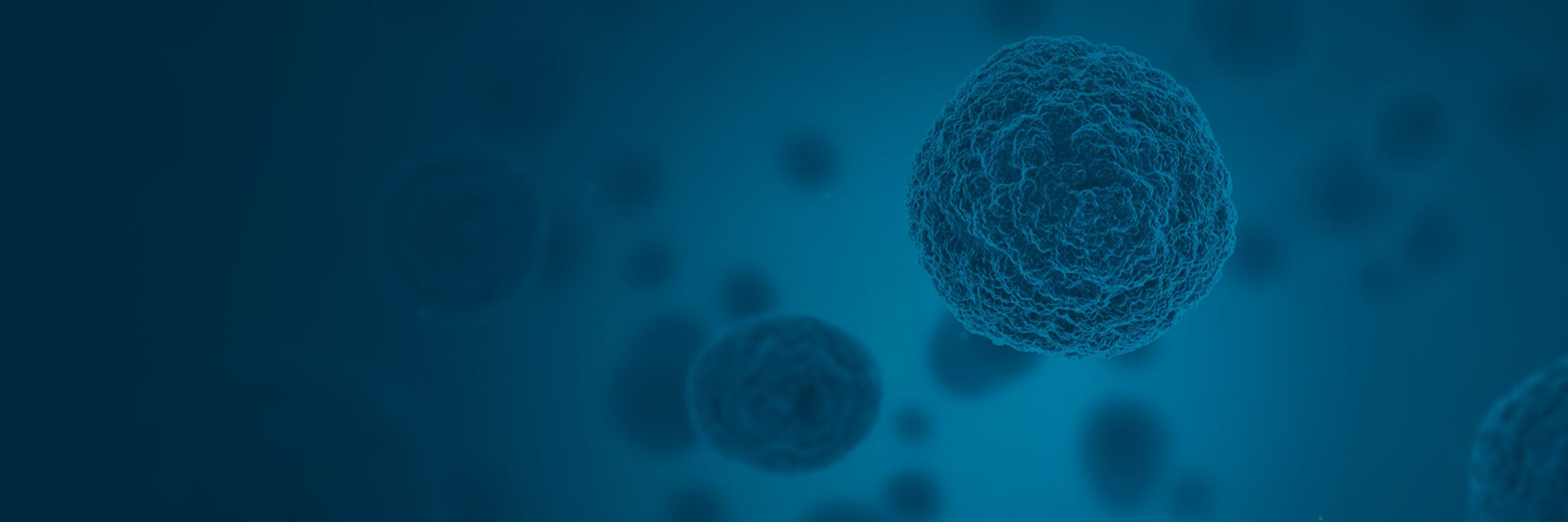 SPP2191 - Molecular Mechanisms of Functional Phase Separation