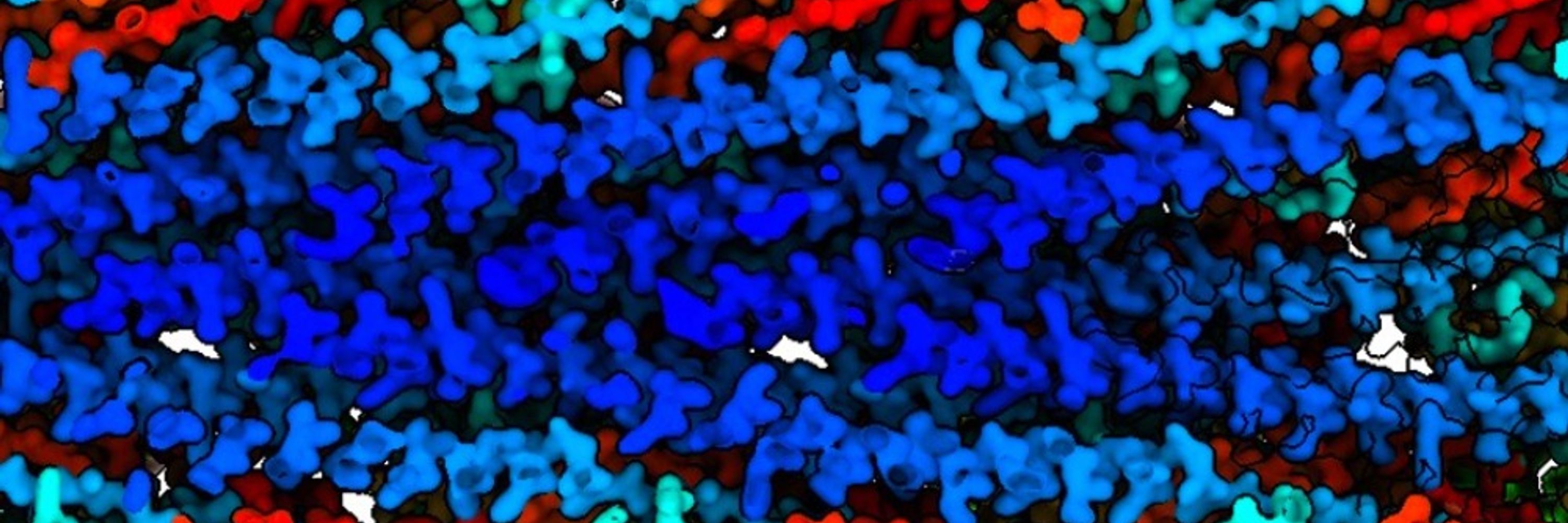 The Daum Lab