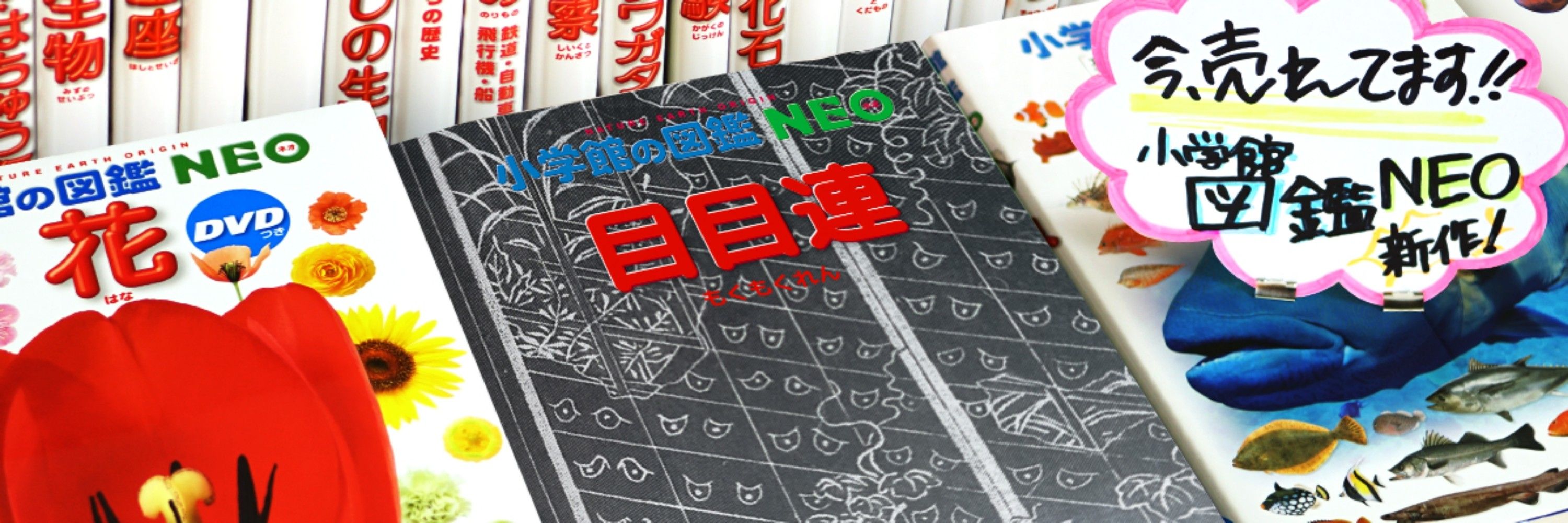 お化け友の会（世界妖怪ショップ目目連店長）