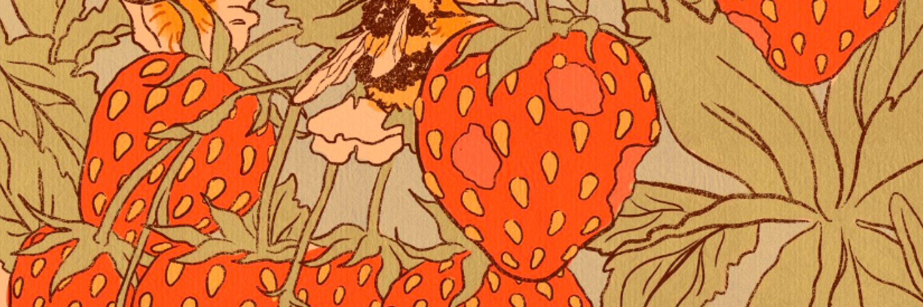 Strawberry