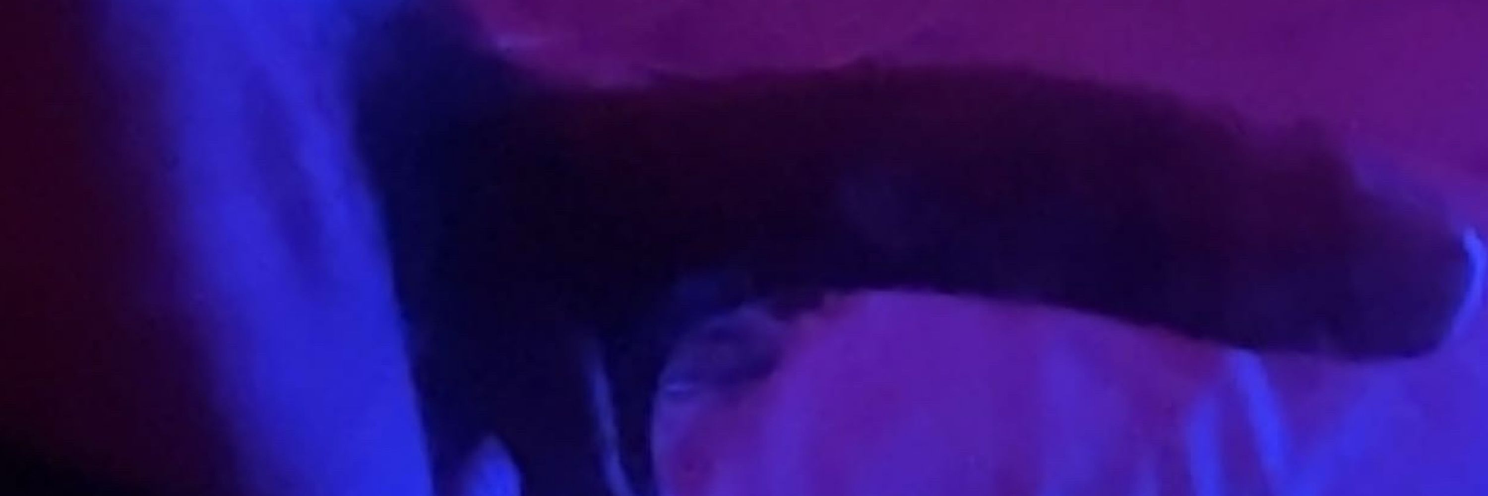 𝐃𝐂 🥴