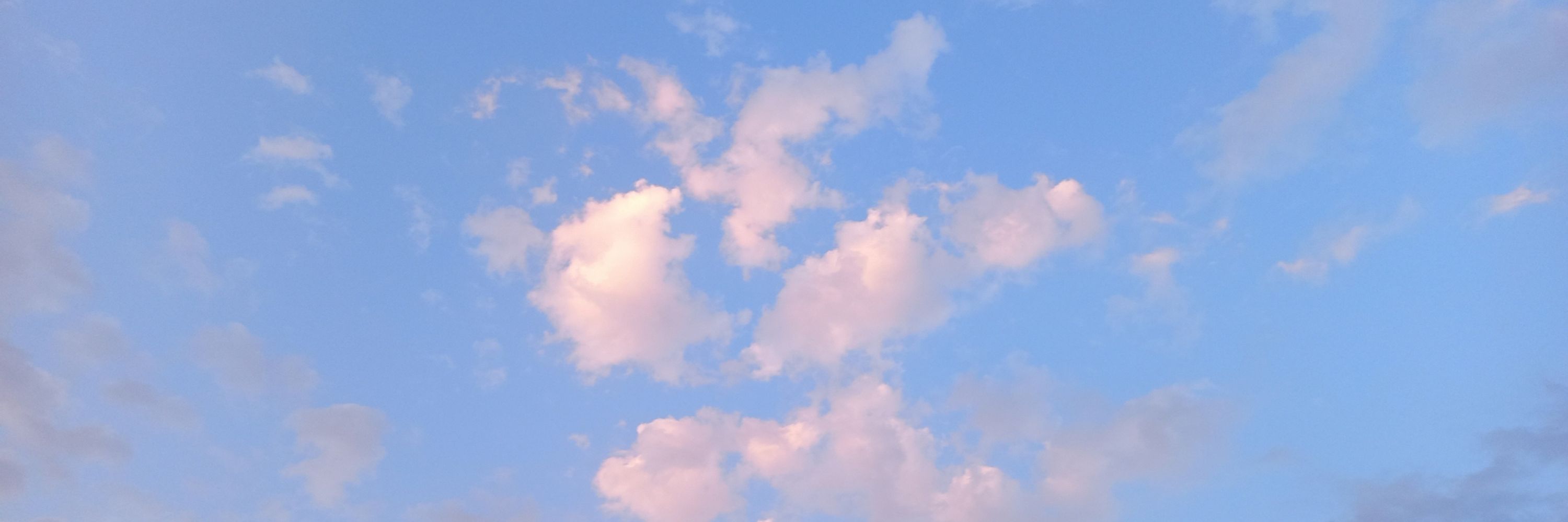 마이치코
