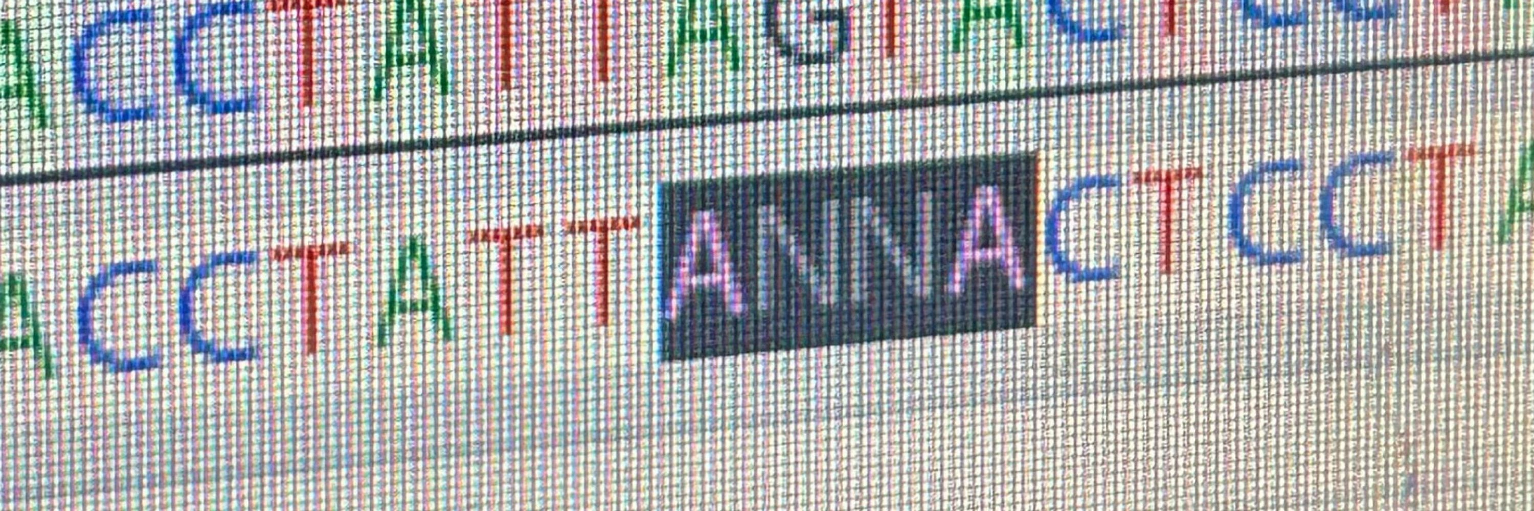 anninha diamante negro