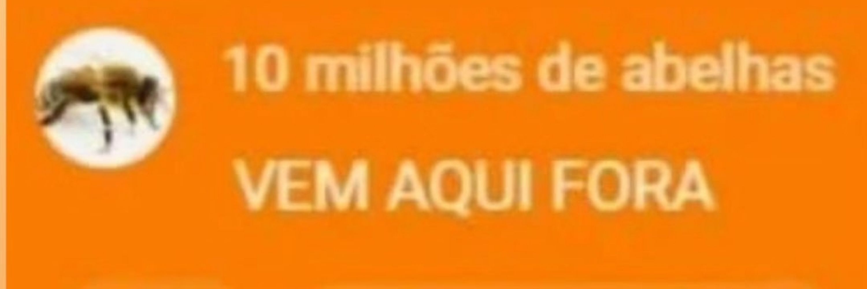 10 milhões de abelhas
