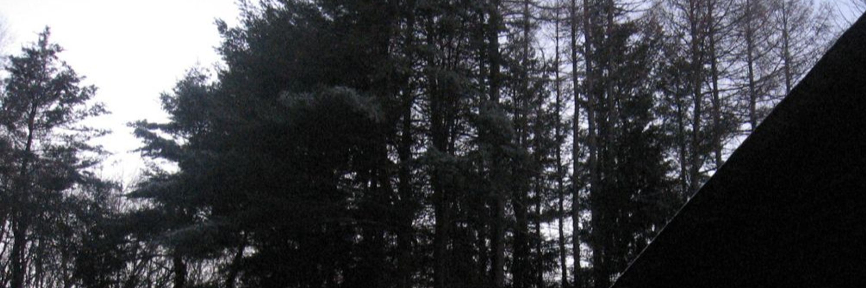 kveldulf 