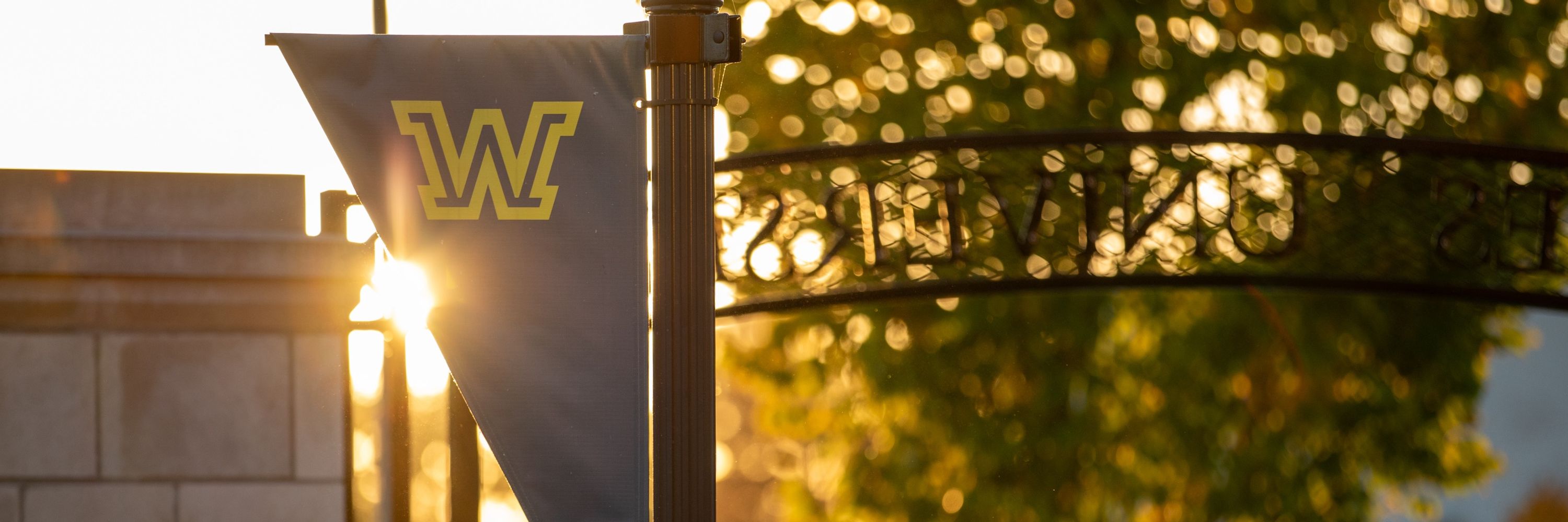 Wilkes University