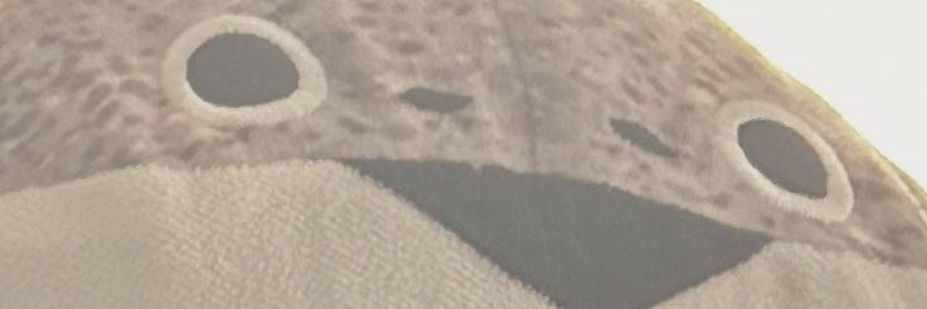 clam