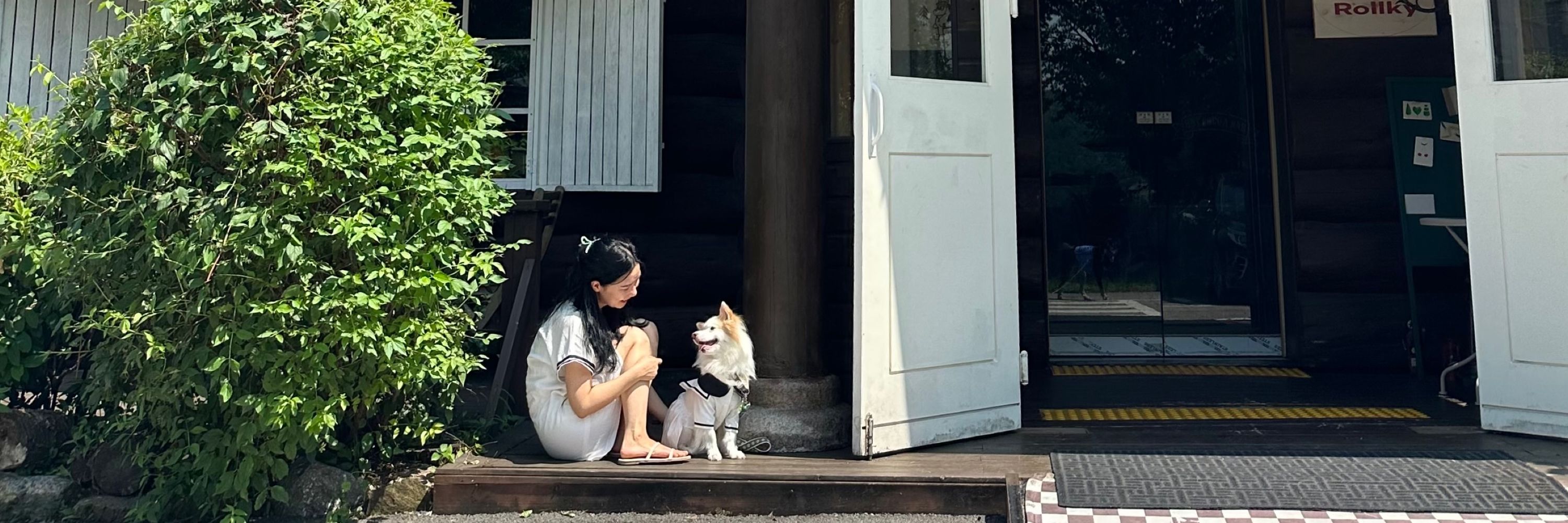 식빵굽는 고양이