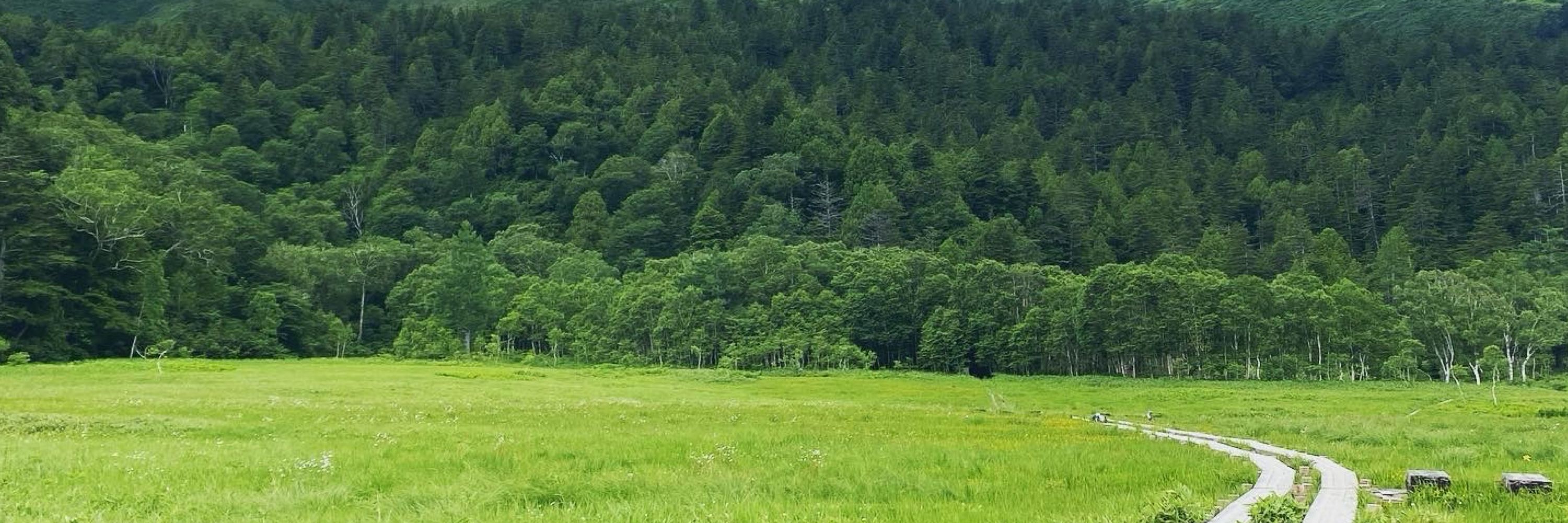 どうかしてる