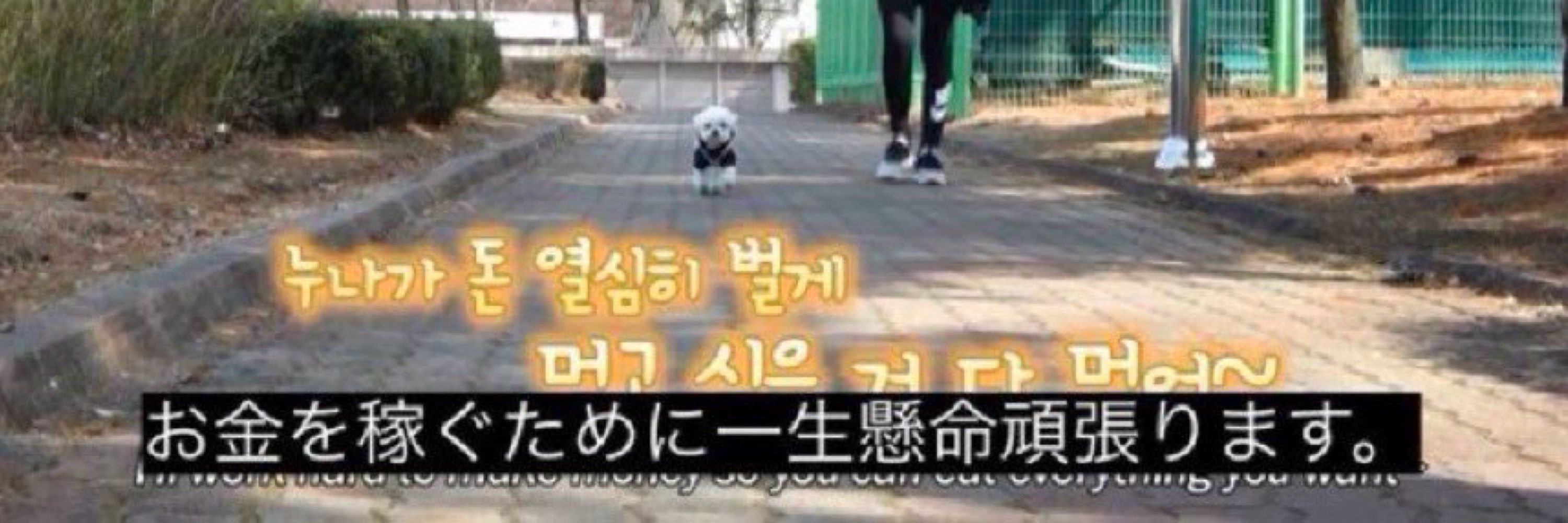 俎板