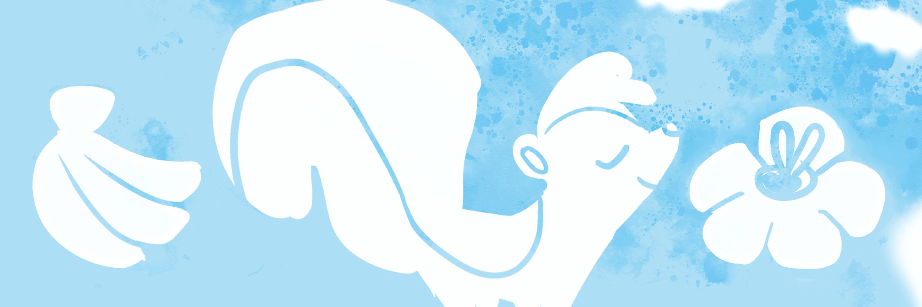 banner