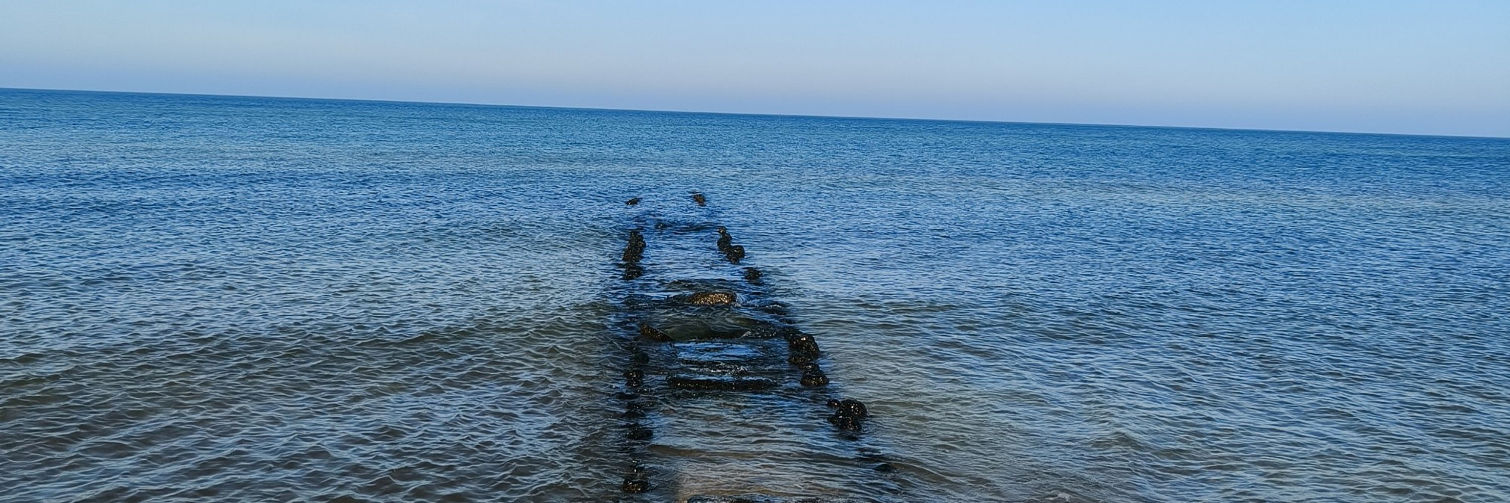Pawe_ł.
