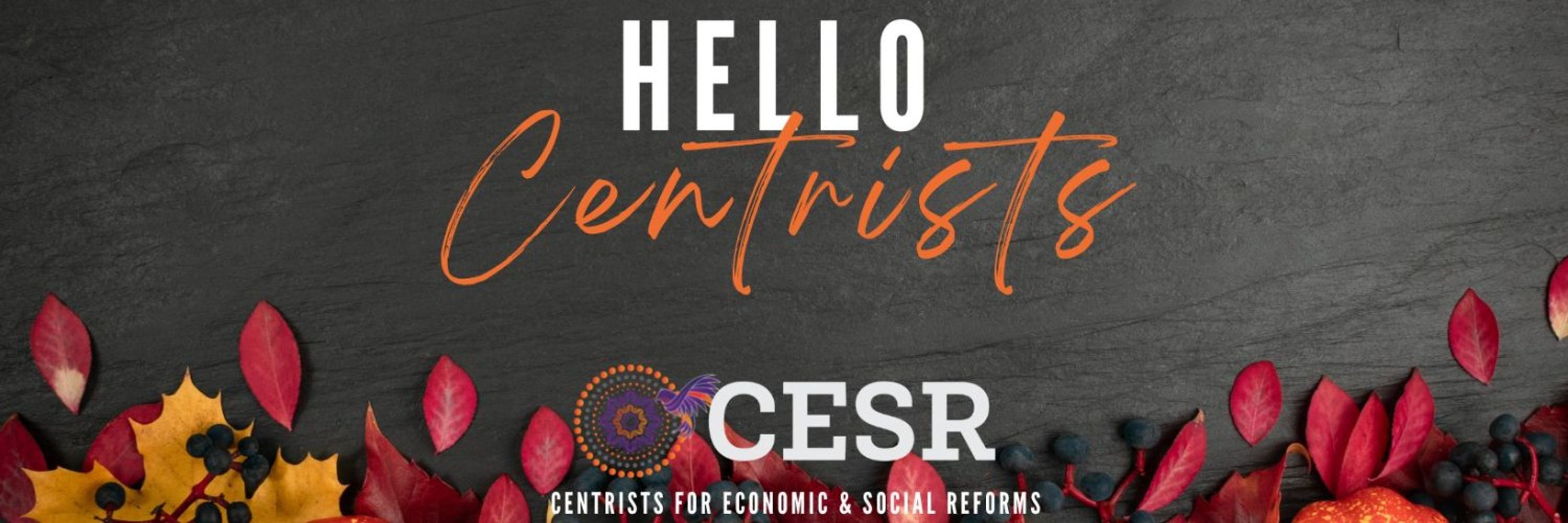 CESR INTERNATIONAL