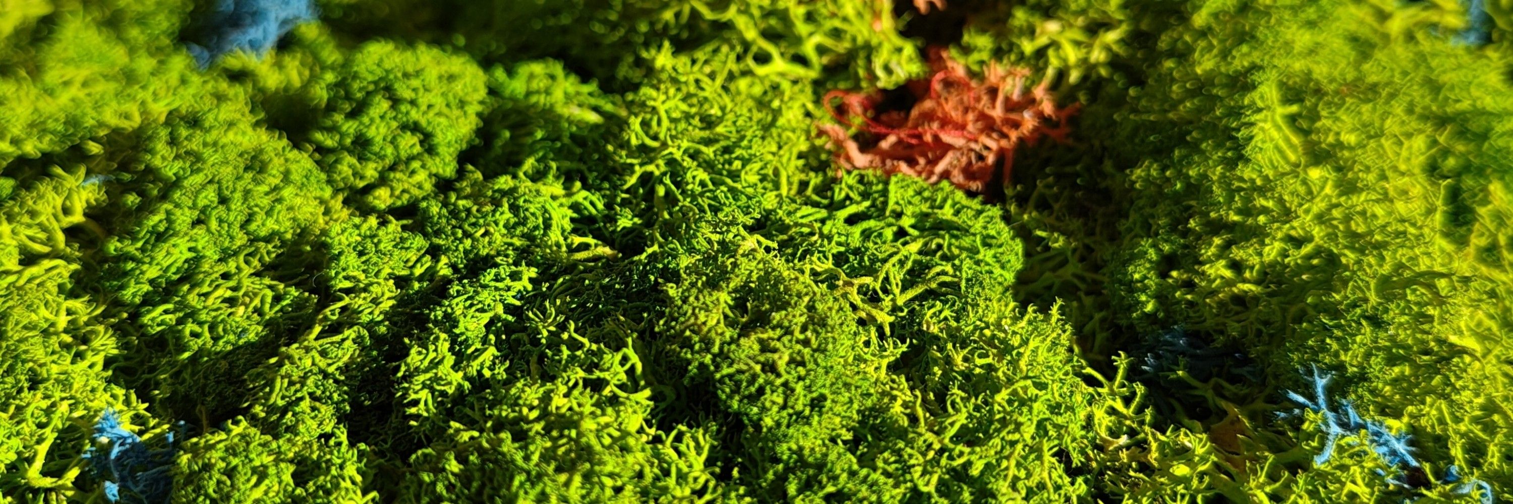 atcorduneanu