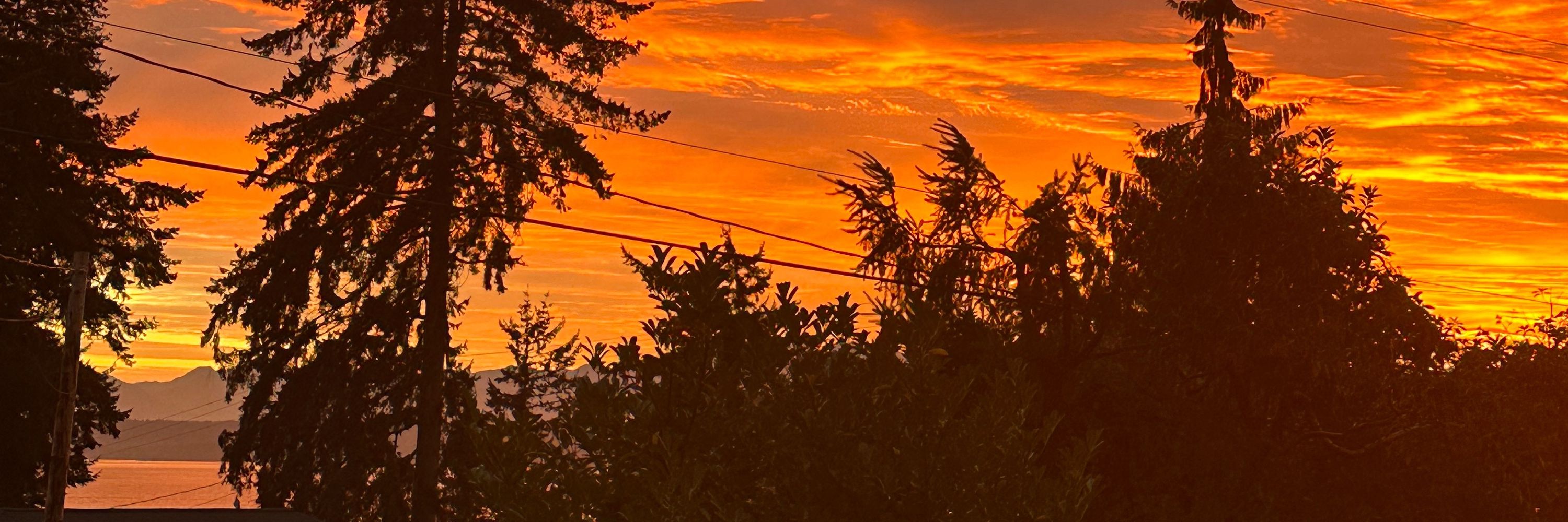 Lisa J on Whidbey