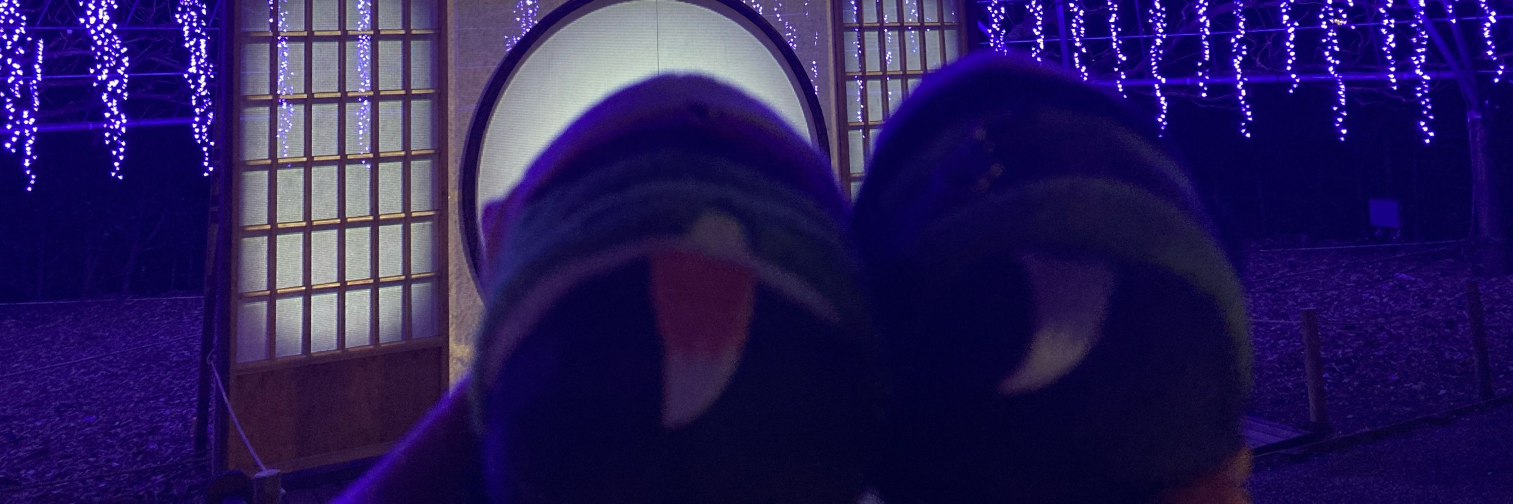 はなよし