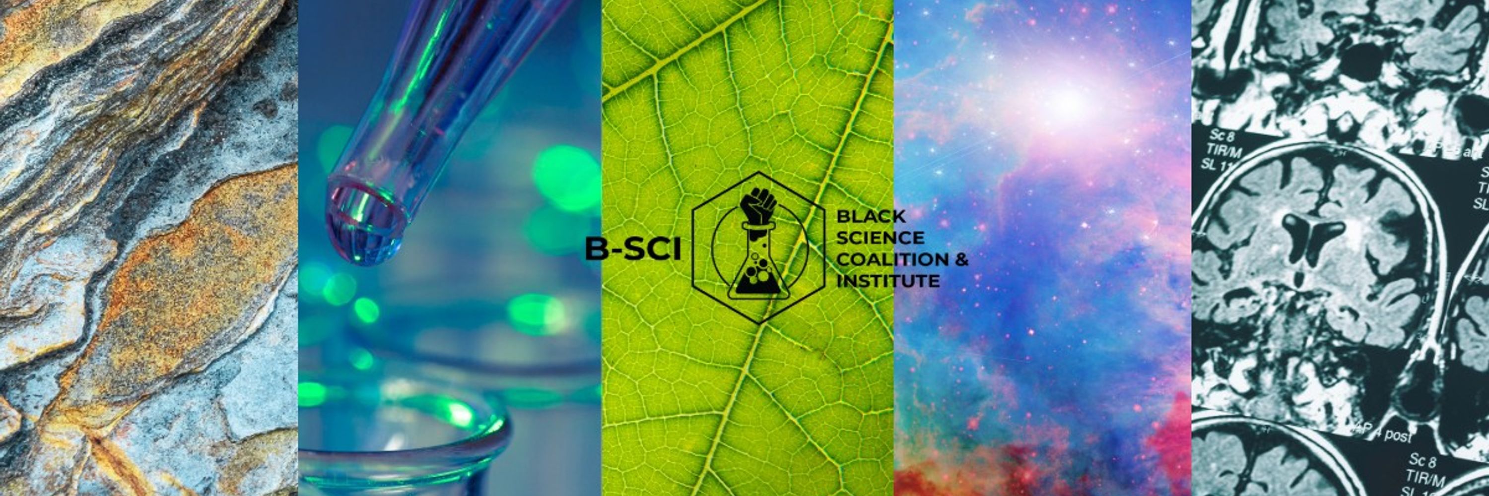 Black Science Coalition and Institue (B-SCI)