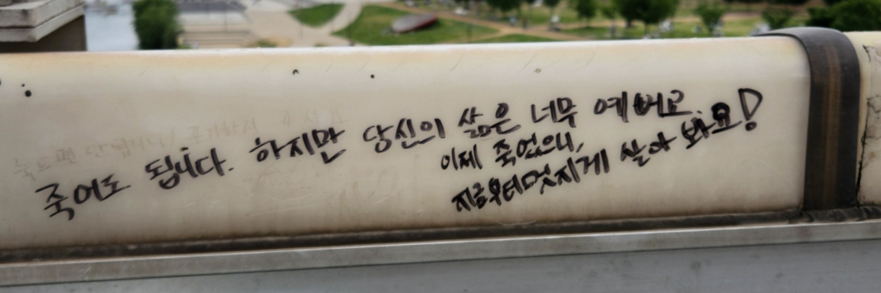 과학
