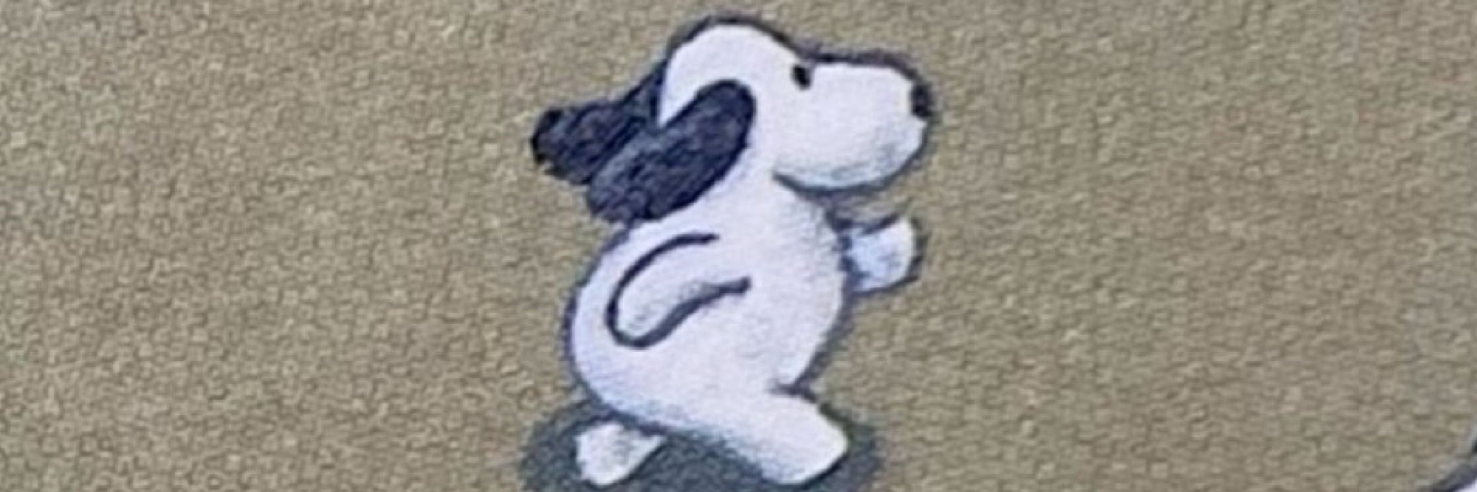 N*lan