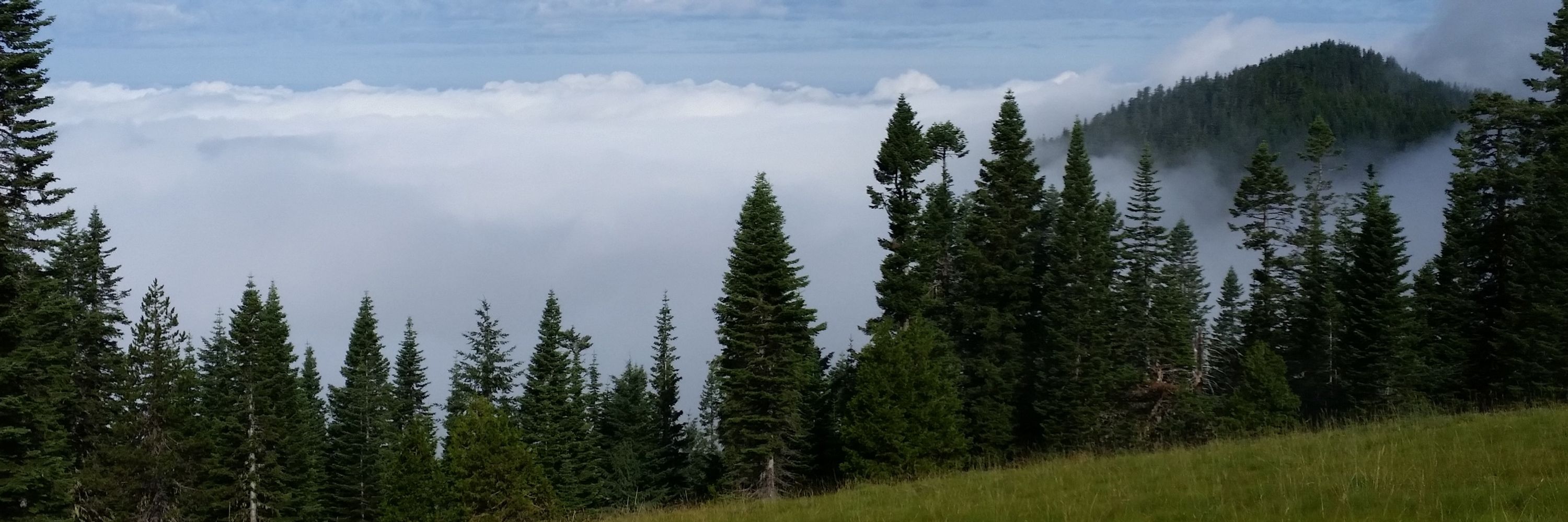 Oakridge Trails
