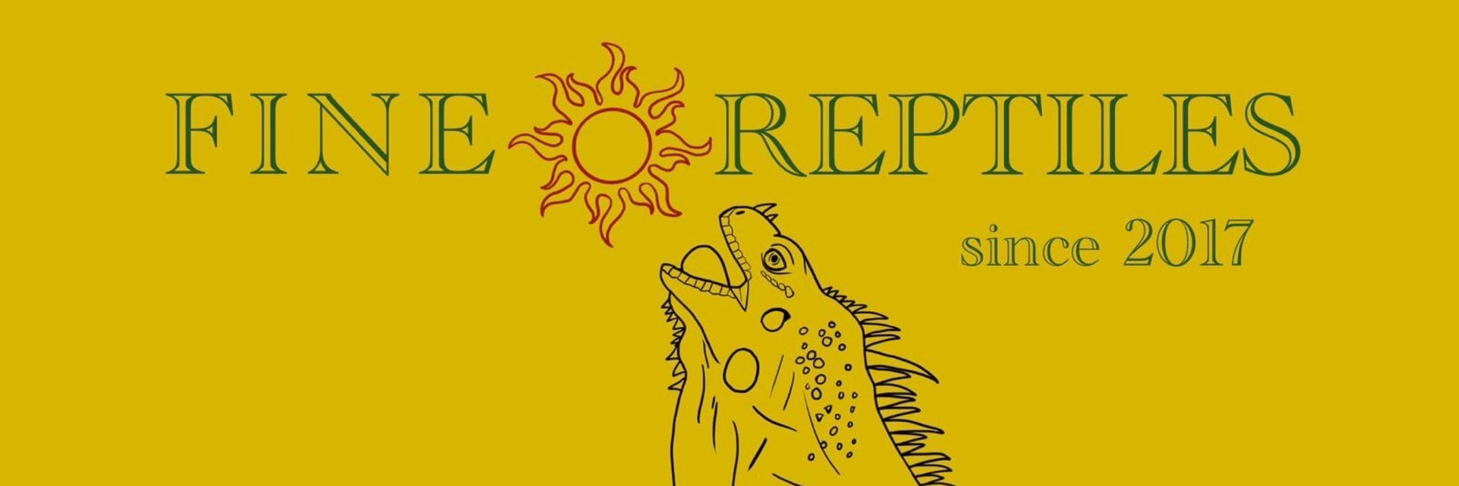 FINEREPTILES.LLC【入荷情報】