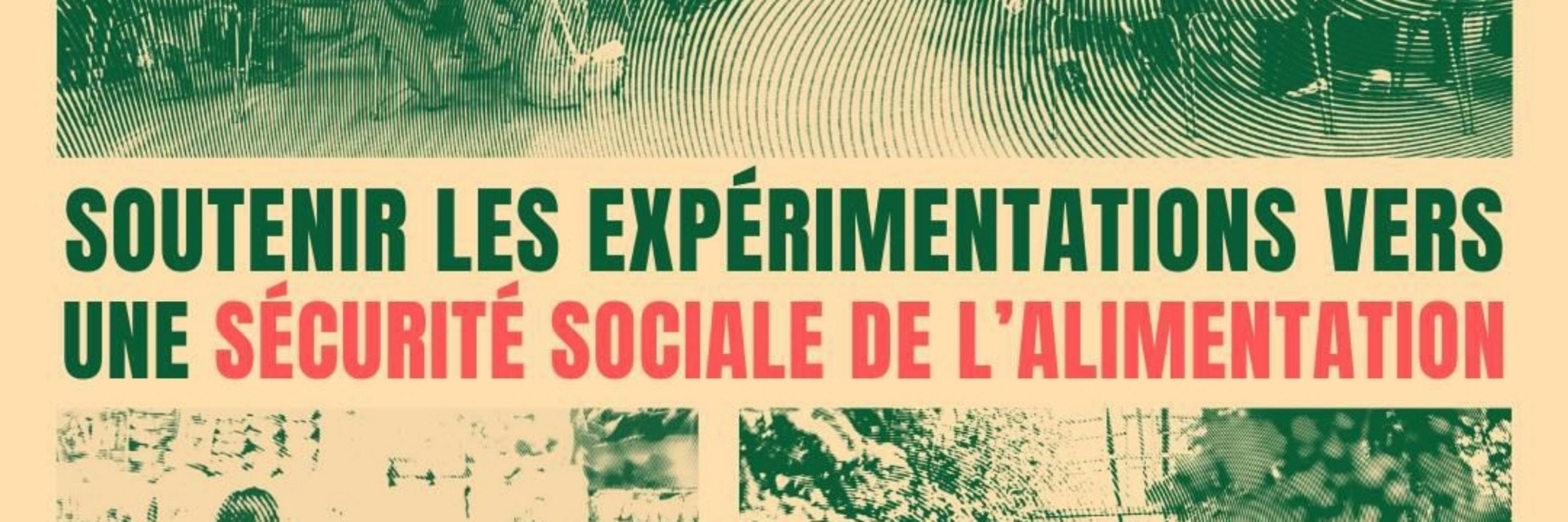 Charles Fournier Député 3701