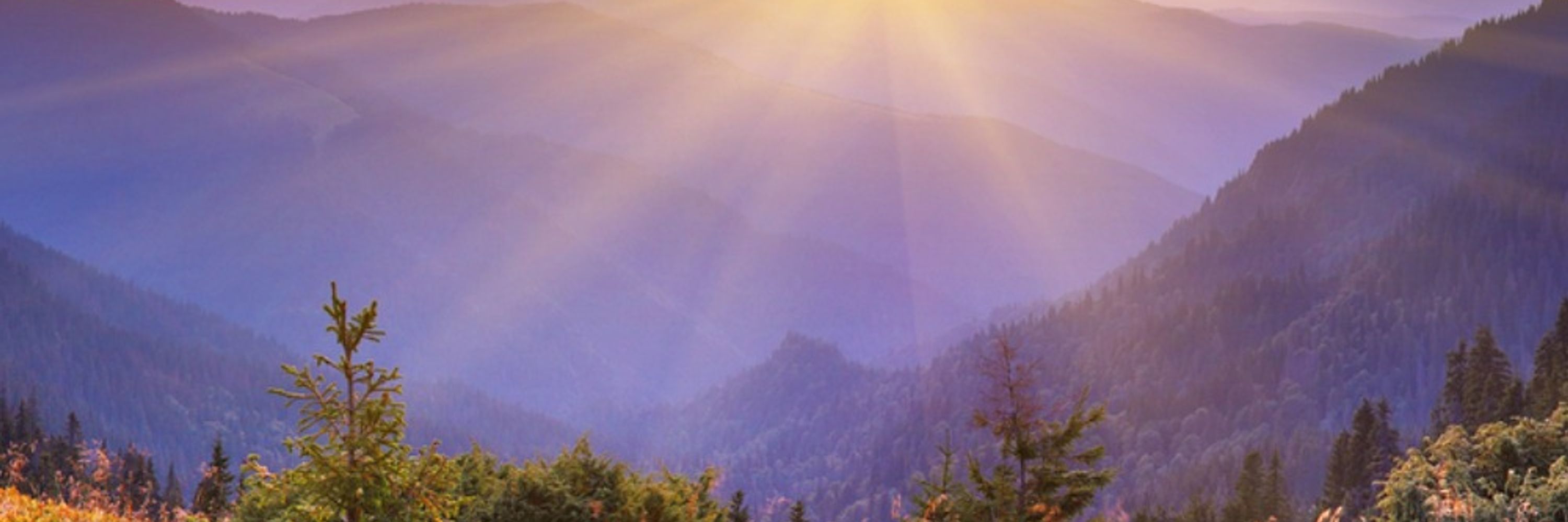 Campanula Psychological Services
