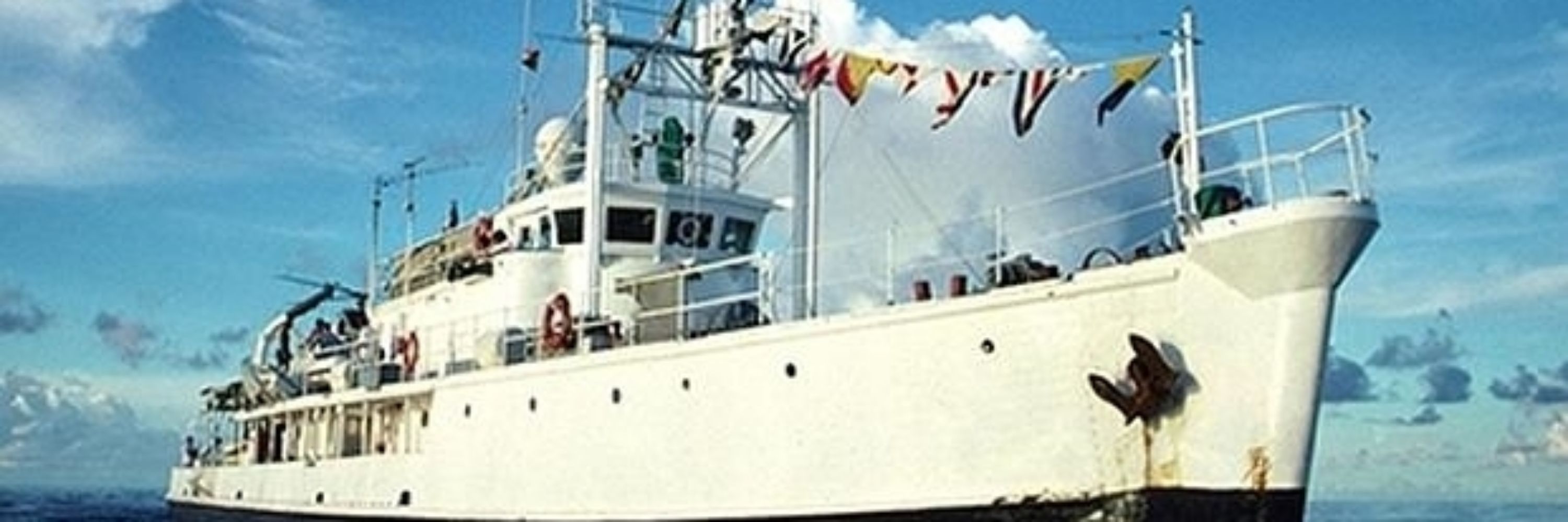 Zerua80