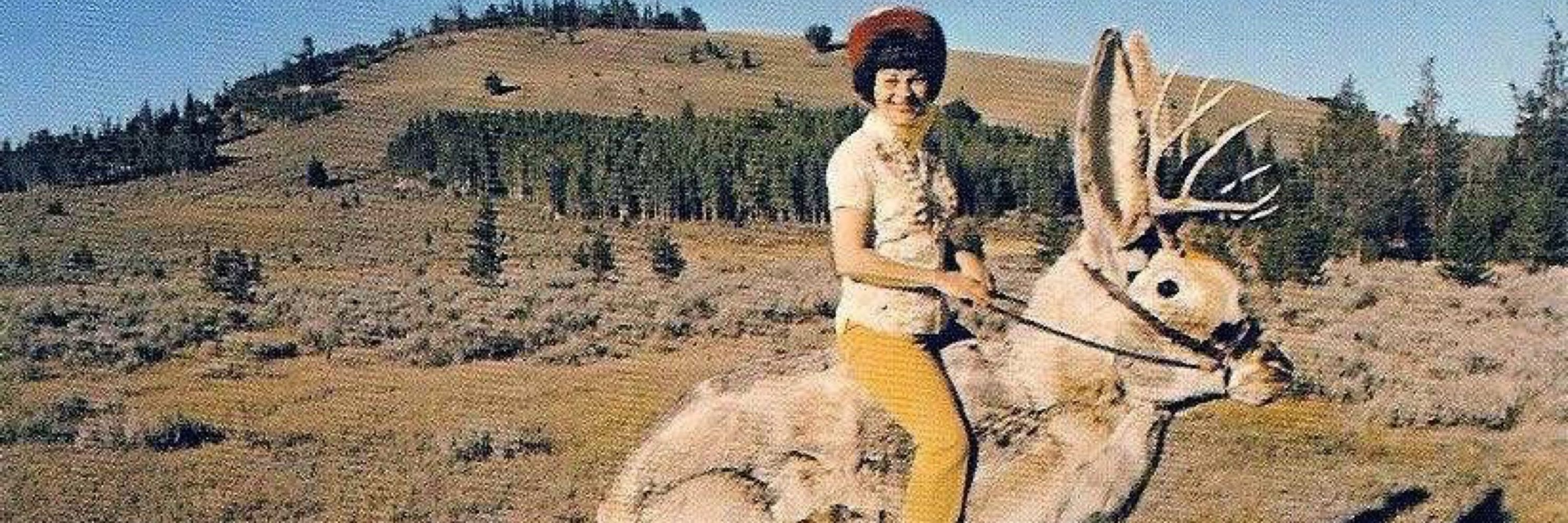 Dottie Martin